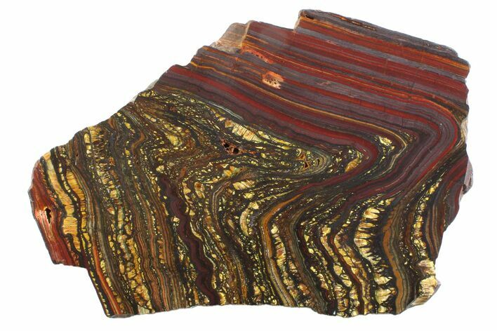 Polished Tiger Iron Stromatolite Slab - Billion Years #354944